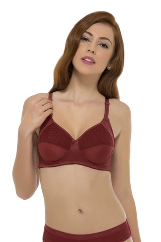 Saree Shaper Bra (New Fit)