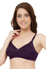 Saree Shaper Bra (Autumn/Winter Colours)